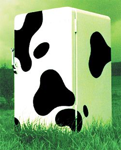 Funky Cow Big Fridge Stickers - Click Image to Close